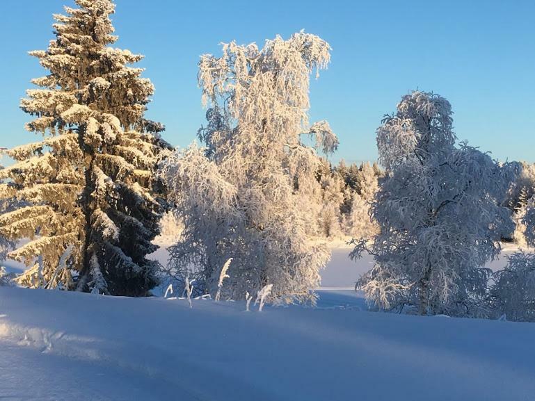 Pajala Cottages Route 99 Экстерьер фото